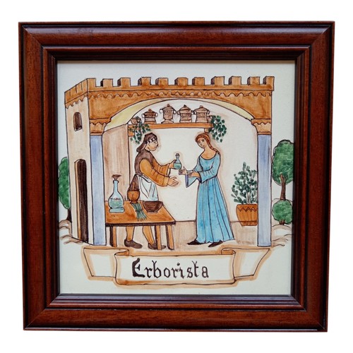 Maiolica erborista - maiolica,
